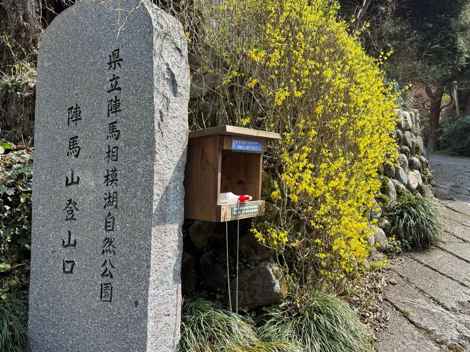 A stone trailhead marker for Mt. Jinba on the Wada side, with yellow forsythia in bloom