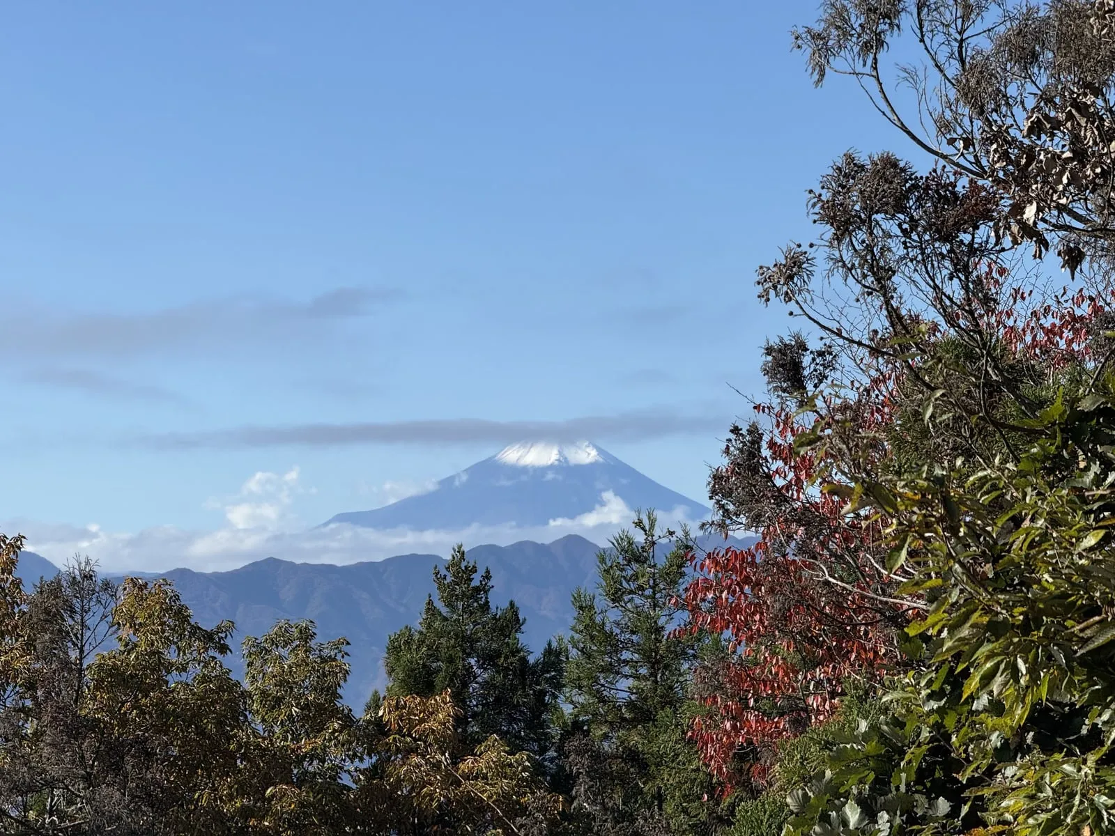 Snow-capped Mt. Fuji above forested ridges and autumn leaves