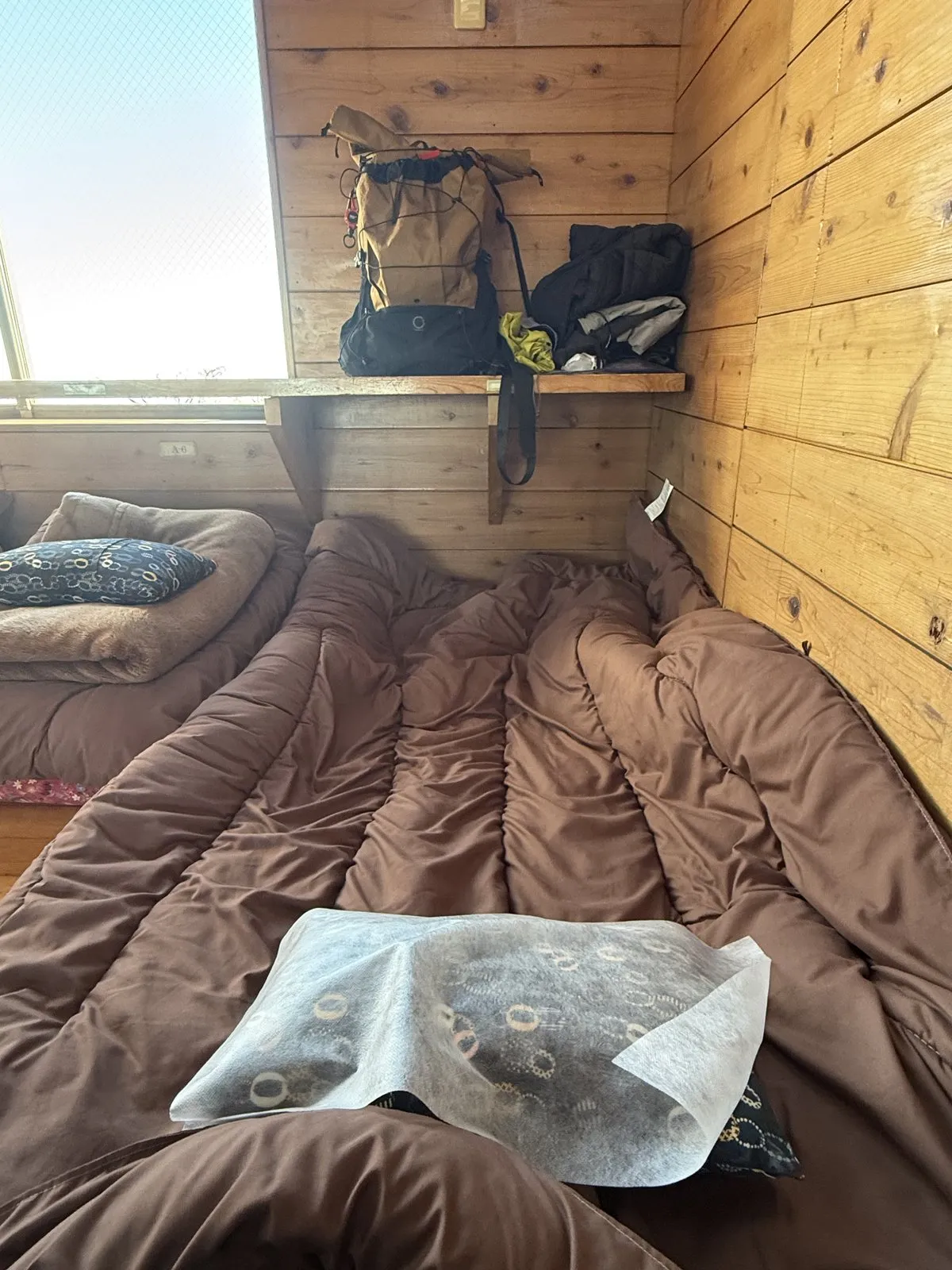 Futons with brown covers laid side by side in a wood-panelled hut room, with a disposable paper pillow cover and backpacks on a shelf above